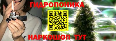 каннабис Гусь-Хрустальный