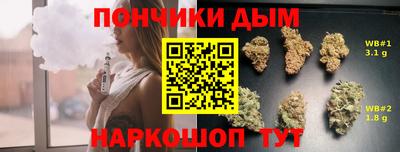 ГАЛЛЮЦИНОГЕННЫЕ ГРИБЫ Гусев