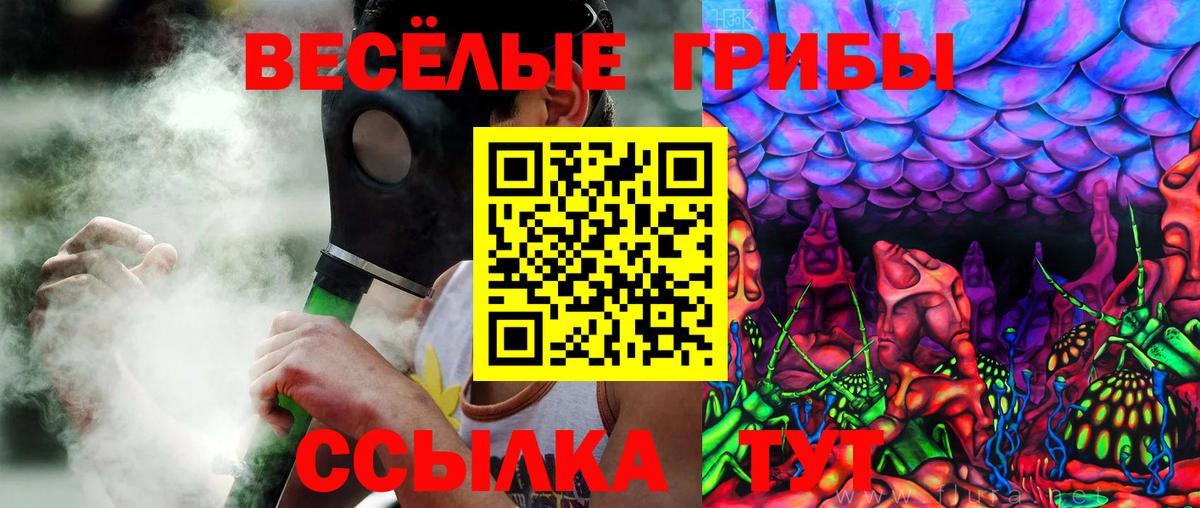 Псилоцибиновые грибы Psilocybine cubensis  Вход с VPN  Мыски 
